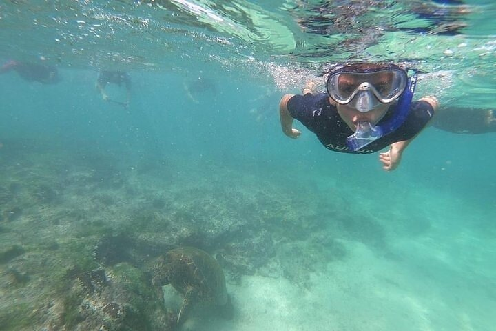 5 Days Galapagos Extreme - "Santa Cruz and Isabela Island " - Photo 1 of 15